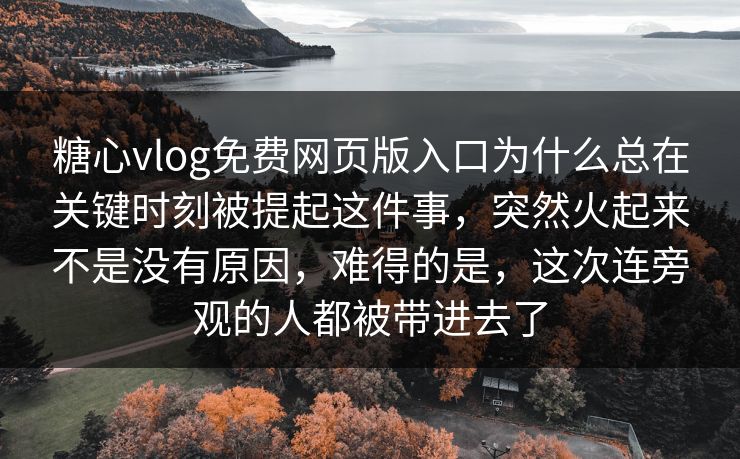 糖心vlog免费网页版入口为什么总在关键时刻被提起这件事，突然火起来不是没有原因，难得的是，这次连旁观的人都被带进去了