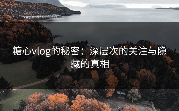 糖心vlog的秘密：深层次的关注与隐藏的真相