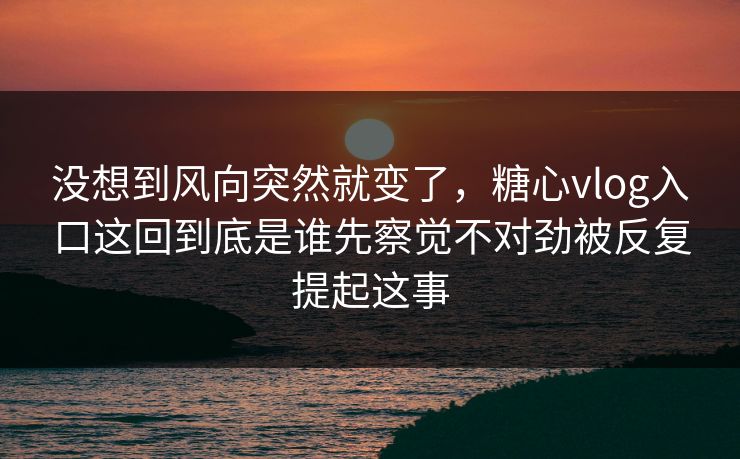 没想到风向突然就变了，糖心vlog入口这回到底是谁先察觉不对劲被反复提起这事