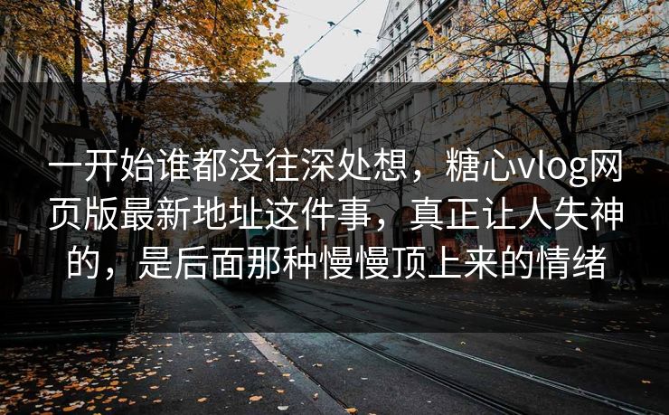 一开始谁都没往深处想，糖心vlog网页版最新地址这件事，真正让人失神的，是后面那种慢慢顶上来的情绪