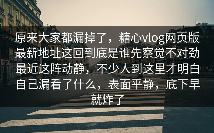 原来大家都漏掉了，糖心vlog网页版最新地址这回到底是谁先察觉不对劲最近这阵动静，不少人到这里才明白自己漏看了什么，表面平静，底下早就炸了