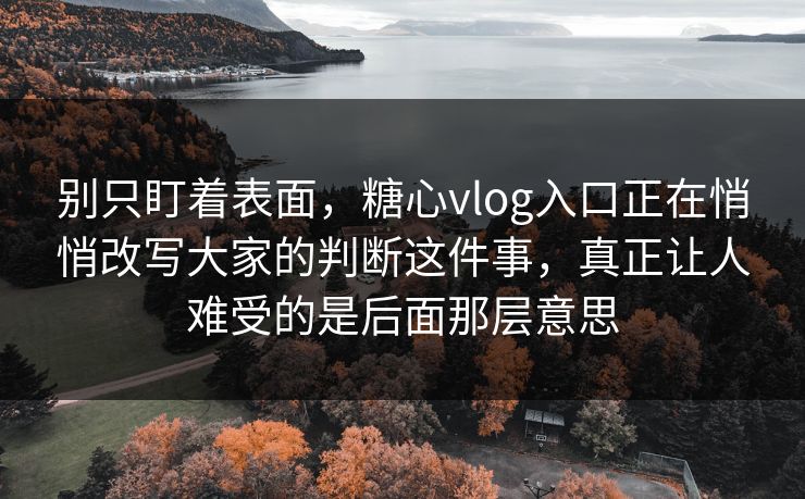 别只盯着表面，糖心vlog入口正在悄悄改写大家的判断这件事，真正让人难受的是后面那层意思