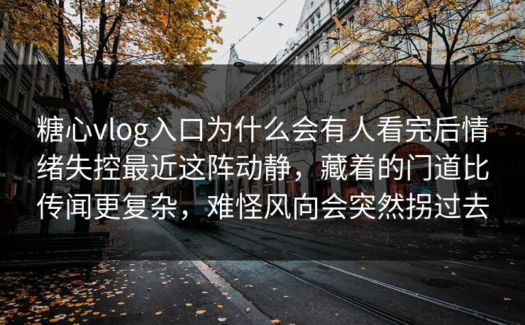糖心vlog入口为什么会有人看完后情绪失控最近这阵动静，藏着的门道比传闻更复杂，难怪风向会突然拐过去