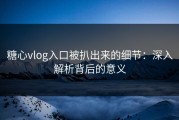 糖心vlog入口被扒出来的细节：深入解析背后的意义