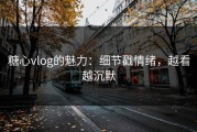 糖心vlog的魅力：细节戳情绪，越看越沉默
