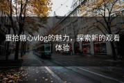 重拾糖心vlog的魅力，探索新的观看体验