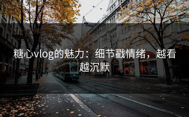 糖心vlog的魅力：细节戳情绪，越看越沉默