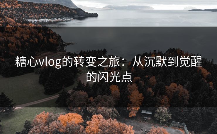 糖心vlog的转变之旅：从沉默到觉醒的闪光点