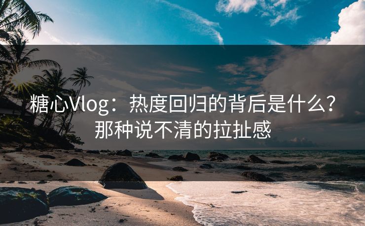 糖心Vlog：热度回归的背后是什么？那种说不清的拉扯感
