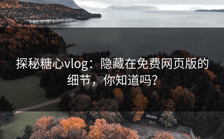 探秘糖心vlog：隐藏在免费网页版的细节，你知道吗？